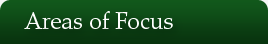 Areas of Focus